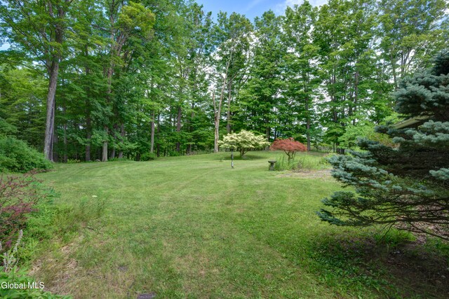 148 High St, Cobleskill, NY 12043 - photo 24