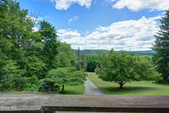 148 High St, Cobleskill, NY 12043 - photo 5
