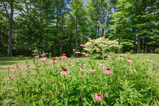 148 High St, Cobleskill, NY 12043 - photo 23