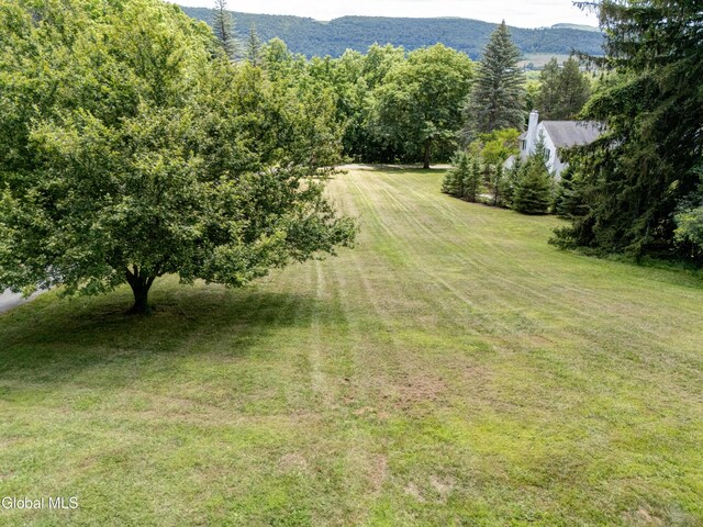 148 High St, Cobleskill, NY 12043 - photo 25