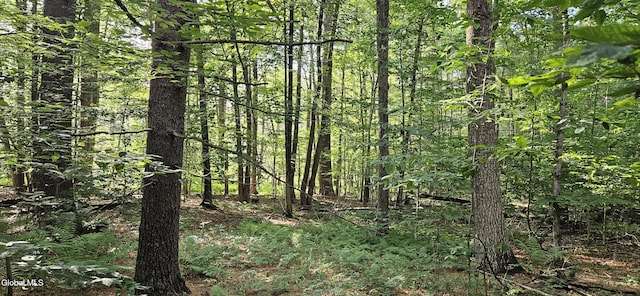L68.3 Bumphill Rd, Greenfield, NY 12833 - photo 3
