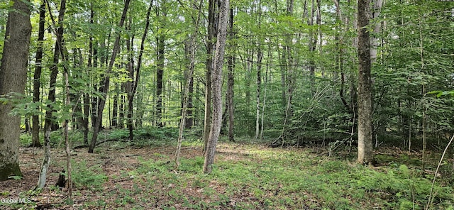 L68.3 Bumphill Rd, Greenfield, NY 12833 - photo 5