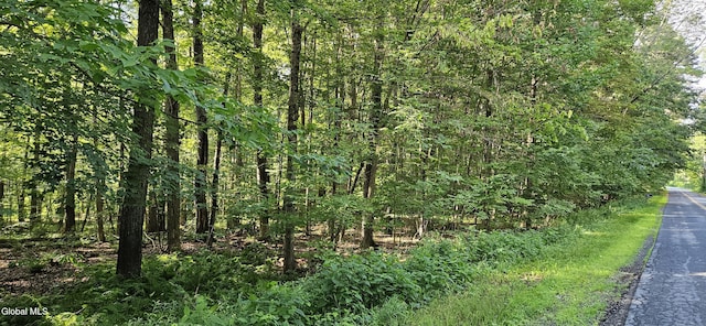 L68.3 Bumphill Rd, Greenfield, NY 12833 - photo 1