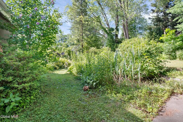 3983 Albany St, Colonie, NY 12304 - photo 44