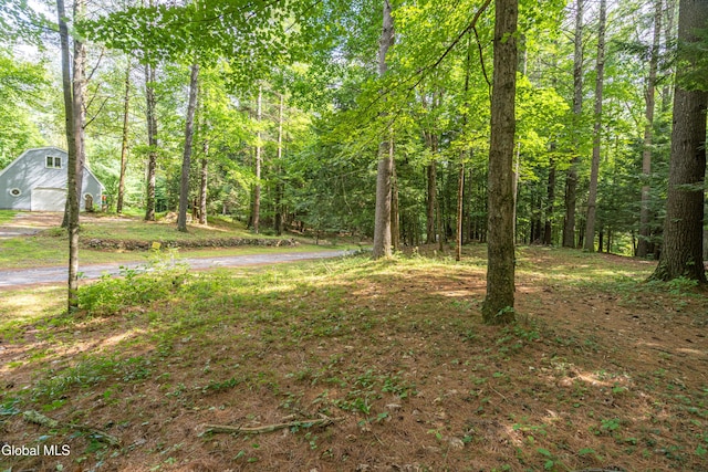 9 Carroll Ln, Fort Ann, NY 12827 - photo 34