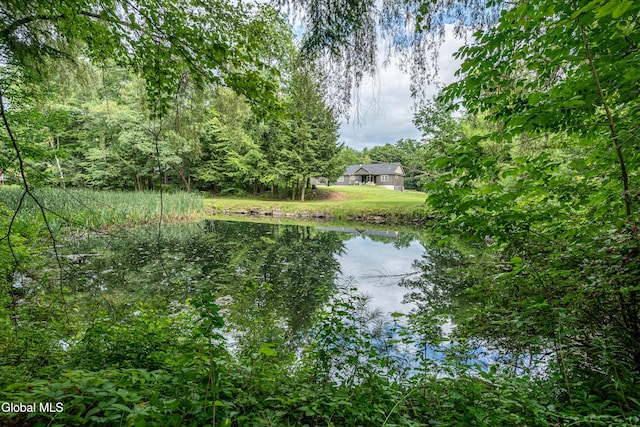 9 Carroll Ln, Fort Ann, NY 12827 - photo 35