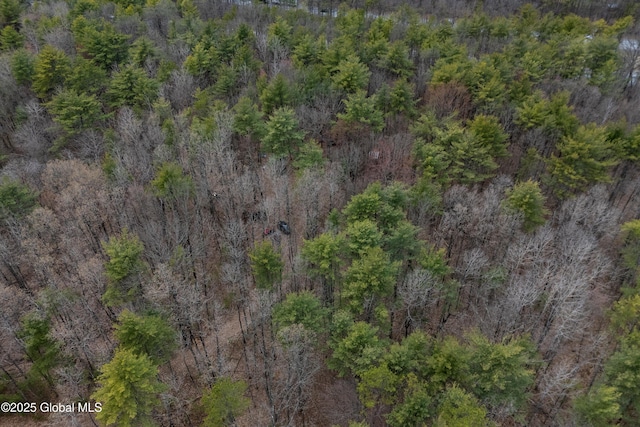 112 Redmond Rd, Moreau, NY 12831 - photo 11