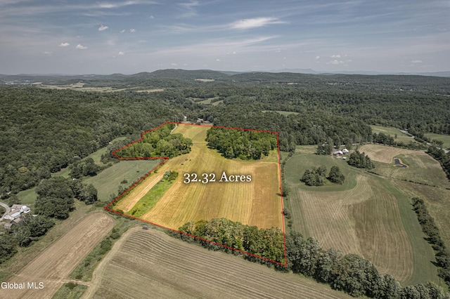 13 Rathbunville Ln, Fort Ann, NY 12887 - photo 6