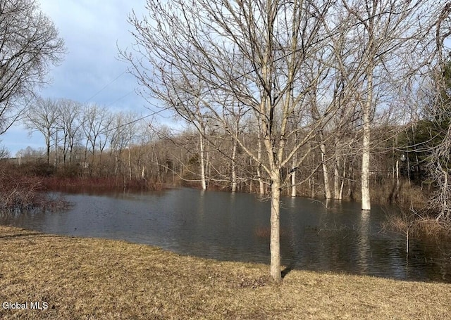 13 Rathbunville Ln, Fort Ann, NY 12887 - photo 37
