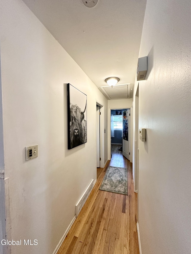 13 Boyack Rd, Clifton Park, NY 12065 - photo 10