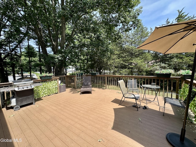 13 Boyack Rd, Clifton Park, NY 12065 - photo 24