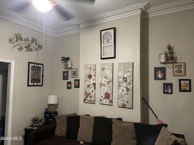 116 Lark St, Albany, NY 12210 - photo 14