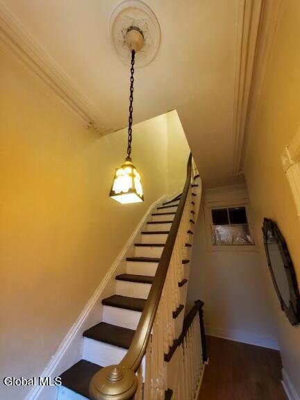 116 Lark St, Albany, NY 12210 - photo 11