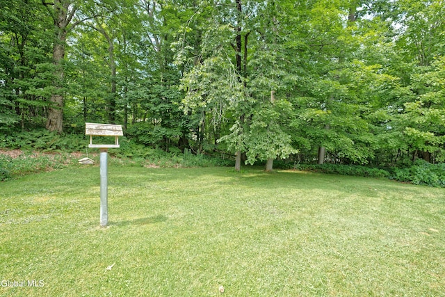 1253 Thompsons Lake Rd, Berne, NY 12059 - photo 8