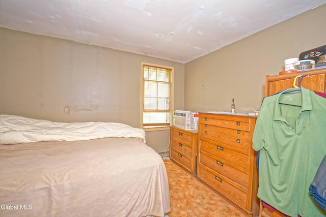 1253 Thompsons Lake Rd, Berne, NY 12059 - photo 17