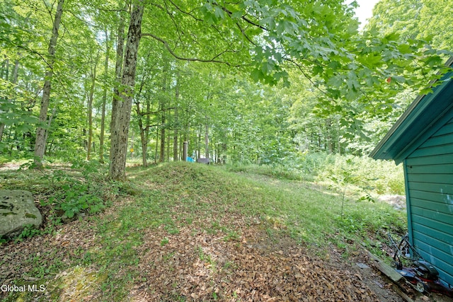 1253 Thompsons Lake Rd, Berne, NY 12059 - photo 30