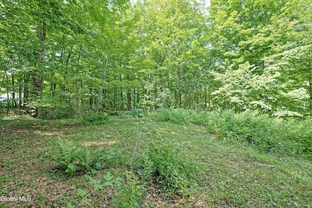 1253 Thompsons Lake Rd, Berne, NY 12059 - photo 32