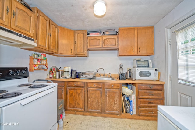 1253 Thompsons Lake Rd, Berne, NY 12059 - photo 39
