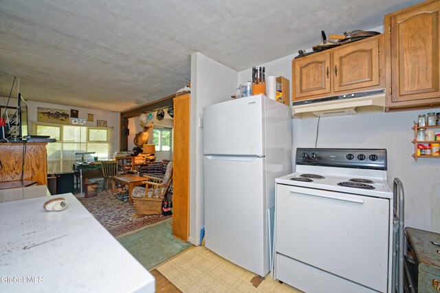 1253 Thompsons Lake Rd, Berne, NY 12059 - photo 40