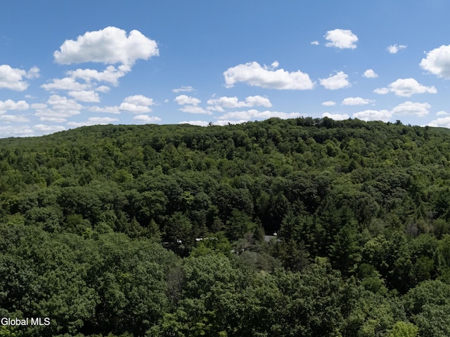 321 Taborton Rd, Sand Lake, NY 12153 - photo 55
