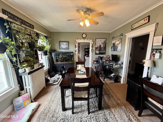 232-234 Locust Ave, Amsterdam, NY 12010 - photo 11