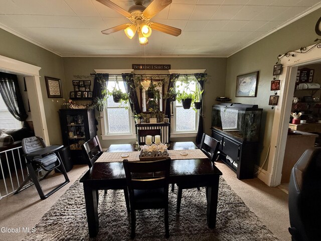 232-234 Locust Ave, Amsterdam, NY 12010 - photo 12
