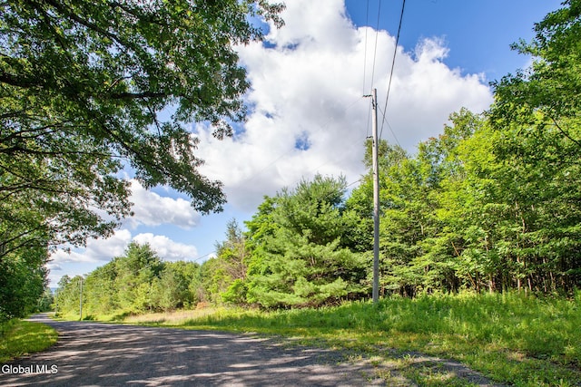 L-16.5 Donlan Heights Rd, Broome, NY 12122 - photo 2