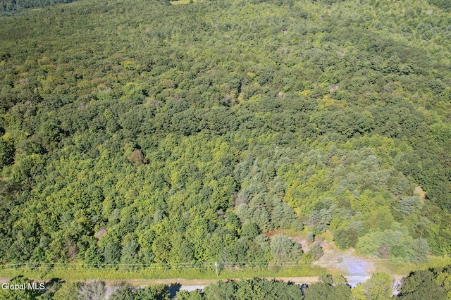 L-16.5 Donlan Heights Rd, Broome, NY 12122 - photo 5