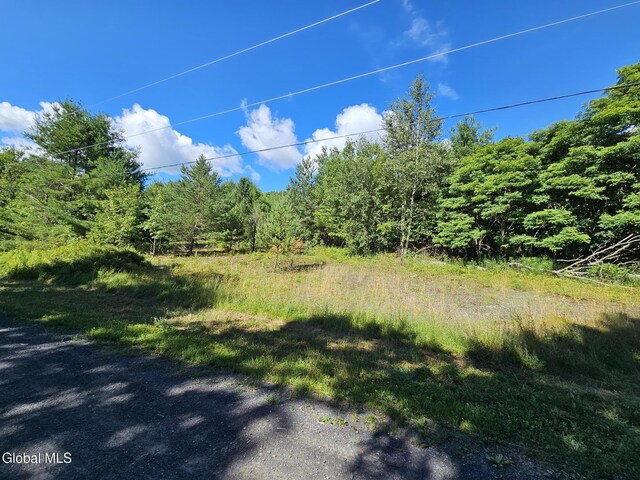 L-16.5 Donlan Heights Rd, Broome, NY 12122 - photo 1