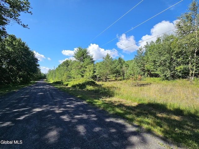 L-16.5 Donlan Heights Rd, Broome, NY 12122 - photo 3