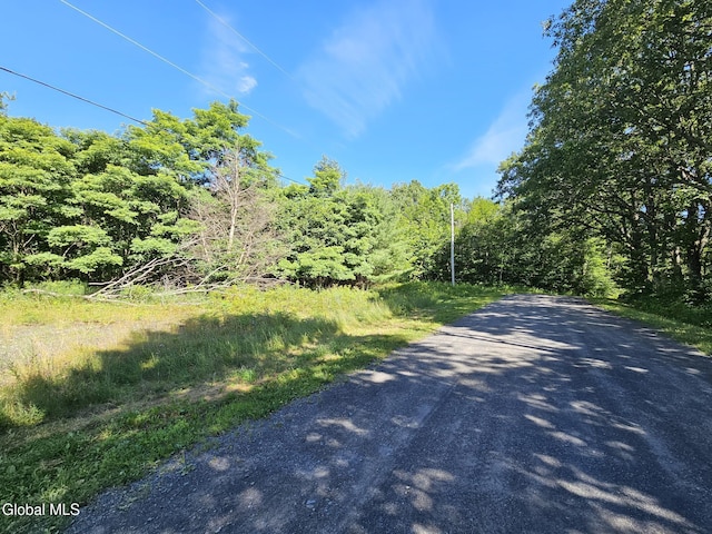 L-16.5 Donlan Heights Rd, Broome, NY 12122 - photo 8