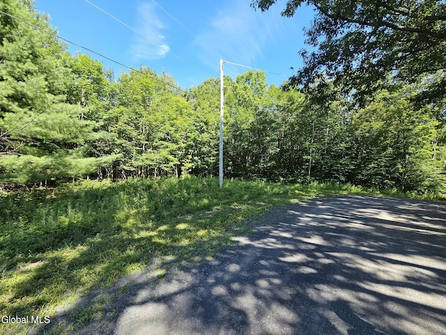 L-16.5 Donlan Heights Rd, Broome, NY 12122 - photo 9