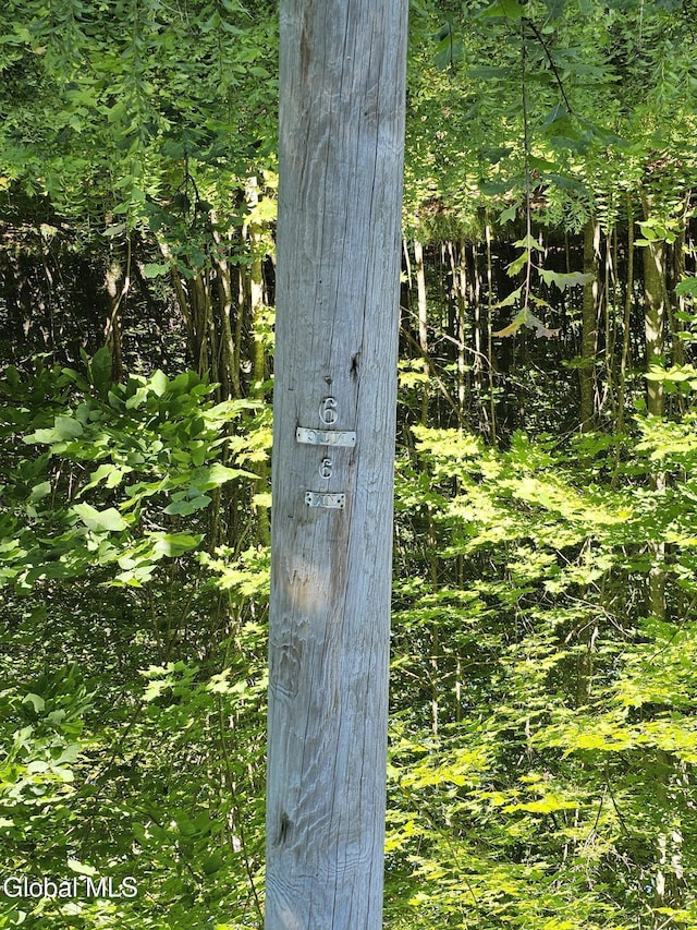 L-16.5 Donlan Heights Rd, Broome, NY 12122 - photo 10