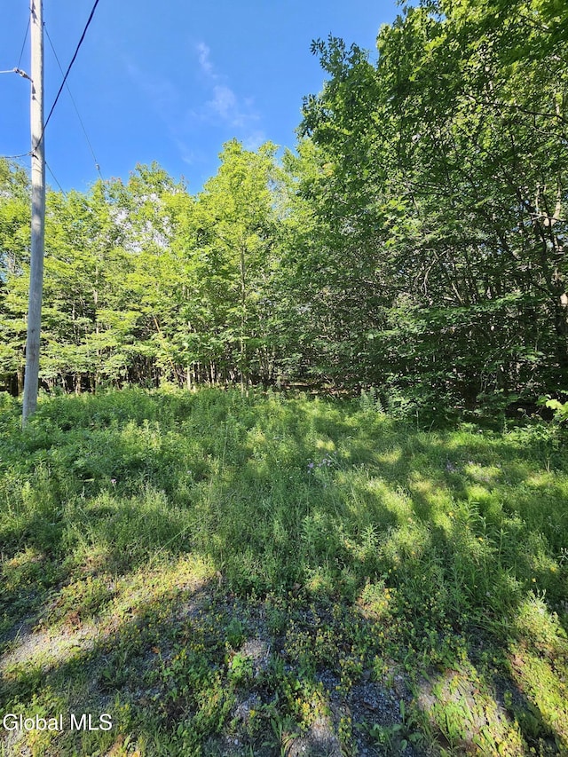 L-16.5 Donlan Heights Rd, Broome, NY 12122 - photo 4