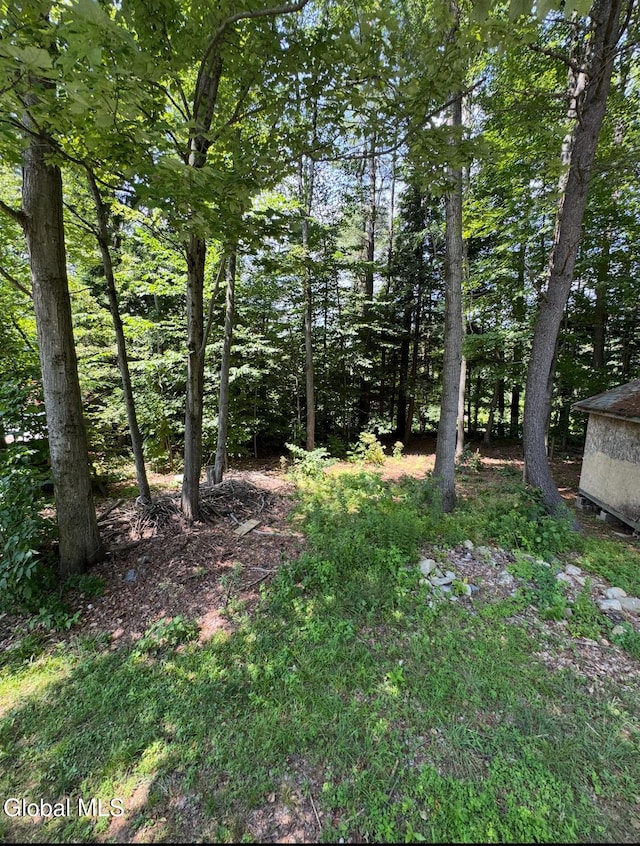 377 Angel Rd, Corinth, NY 12822 - photo 14