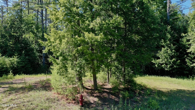 49 The Woods, Johnsburg, NY 12853 - photo 3