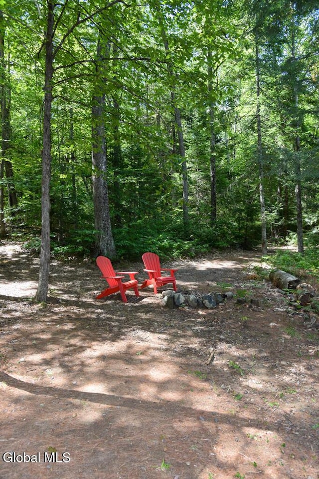 49 The Woods, Johnsburg, NY 12853 - photo 7