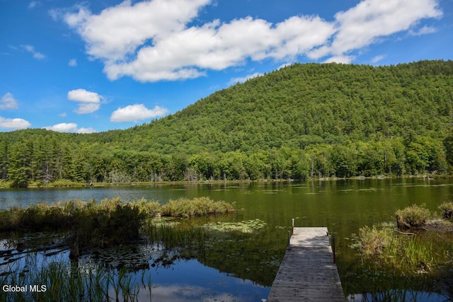 49 The Woods, Johnsburg, NY 12853 - photo 9