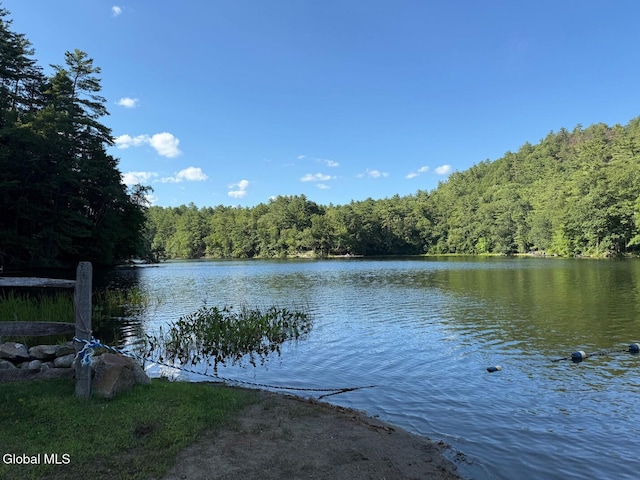 62 Village View Rd, Lake Luzerne, NY 12846 - photo 26