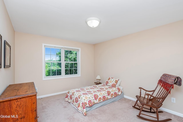 1 Cephalonia Dr, Niskayuna, NY 12309 - photo 27
