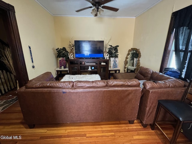 236 Quail St, Albany, NY 12203 - photo 3