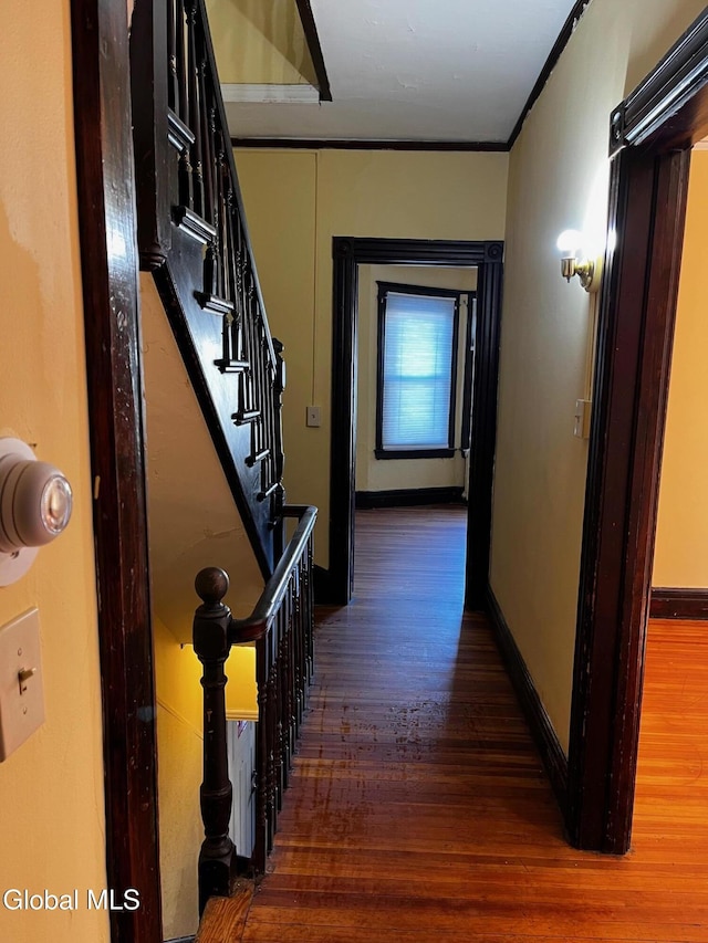 236 Quail St, Albany, NY 12203 - photo 22