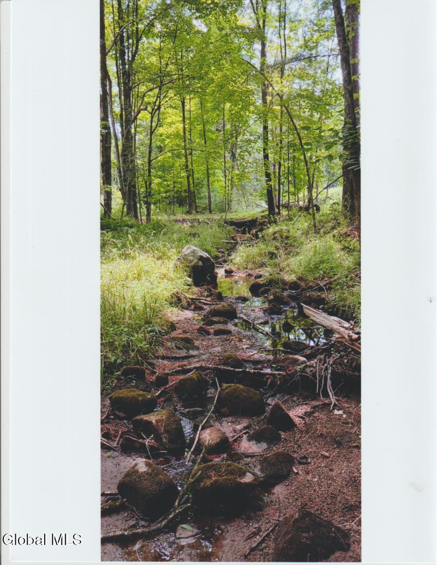 1260 Valentine Pond Rd, Horicon, NY 12808 - photo 1