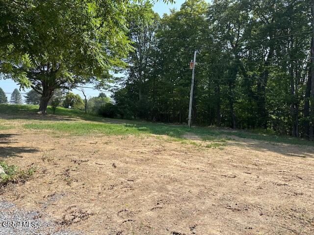 28 Hannay Rd, Westerlo, NY 12193 - photo 32