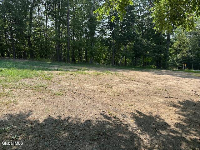 28 Hannay Rd, Westerlo, NY 12193 - photo 33