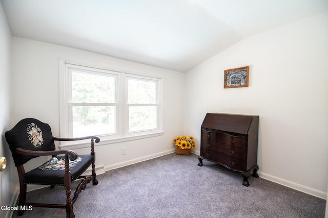 19 Mchugh St, South Glens Falls, NY 12803 - photo 15