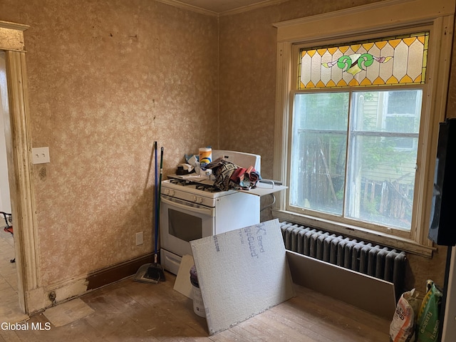 20 Henry St, Schenectady, NY 12304 - photo 10