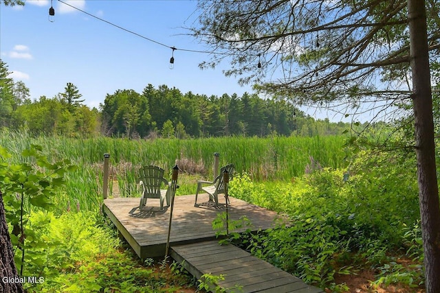 12 Amber Way, Ballston Spa, NY 12020 - photo 38