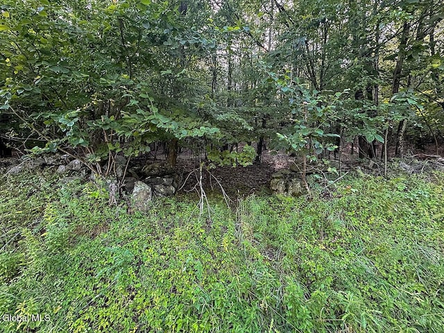 L24.12 N Nassau Rd, Sand Lake, NY 12018 - photo 3
