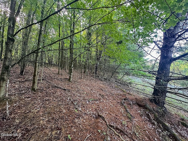 L24.12 N Nassau Rd, Sand Lake, NY 12018 - photo 4